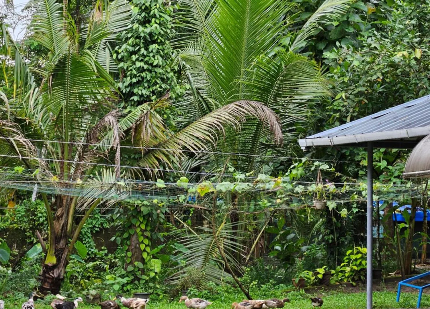Apartament Marari Arattukulam Haven Mararikulam 0*,  Indie