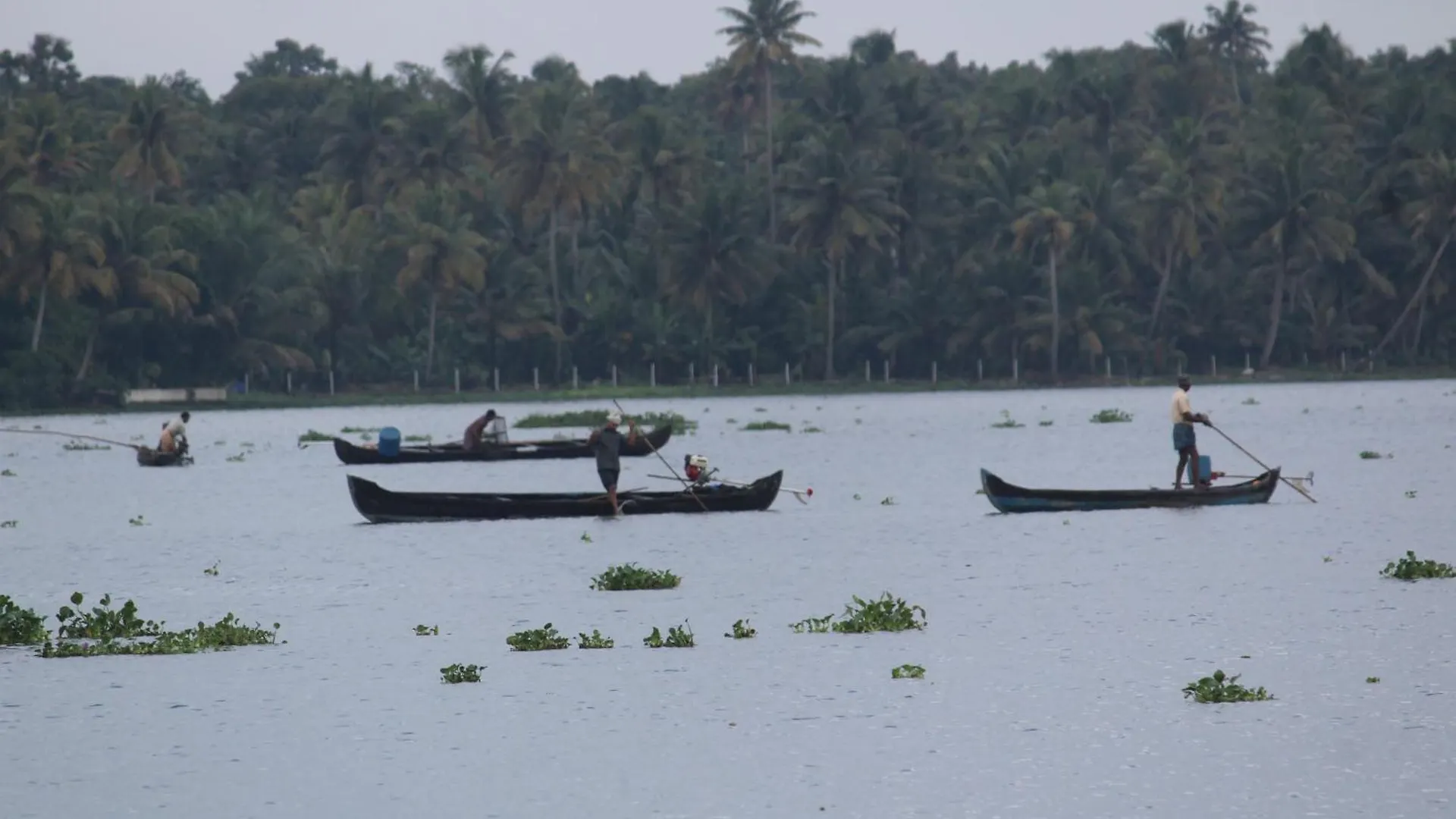 Marari Arattukulam Haven Lejlighed Mararikulam Indien